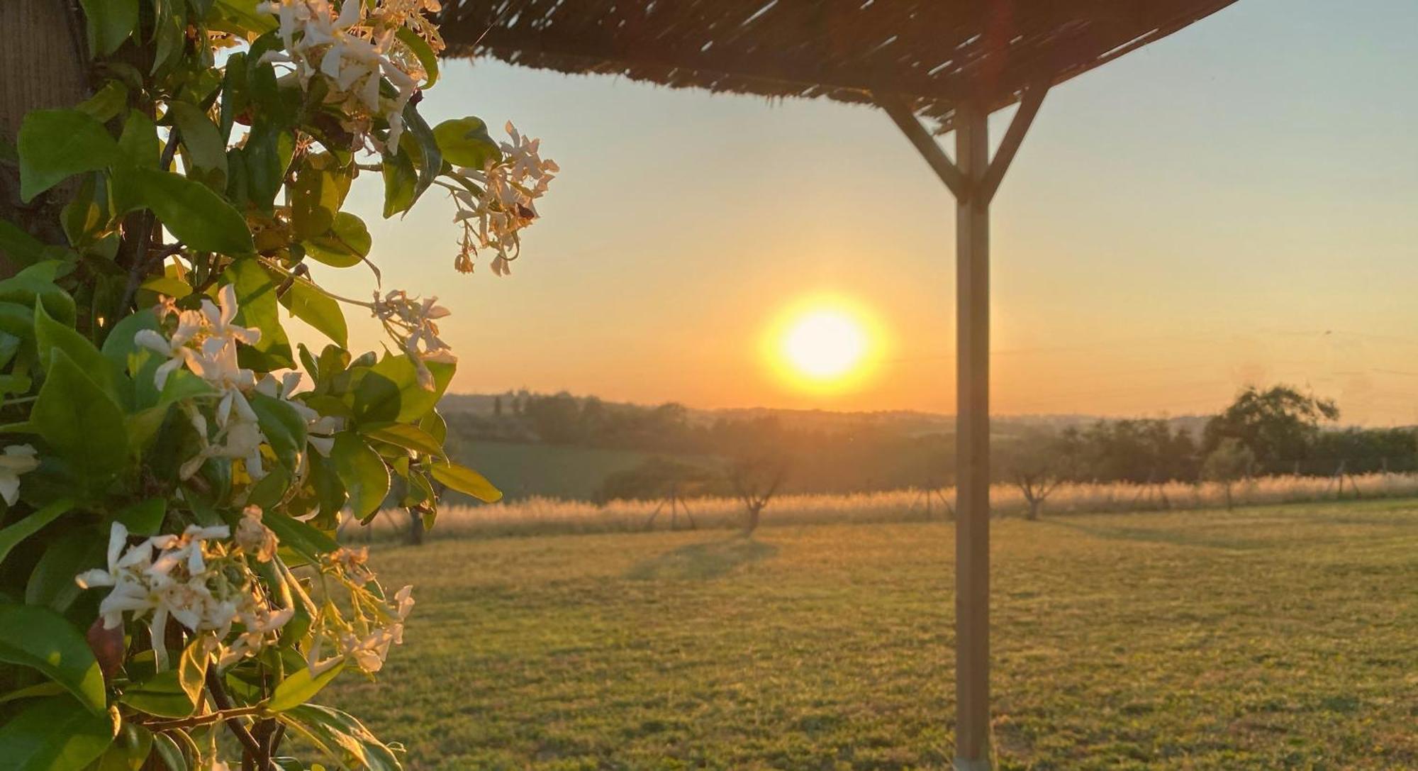 House Borgo Badia Farm stay Castiglione del Lago